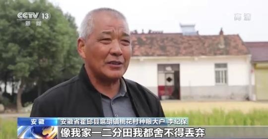 十八連豐！秋收近九成 我國糧食產(chǎn)能穩(wěn)步提升