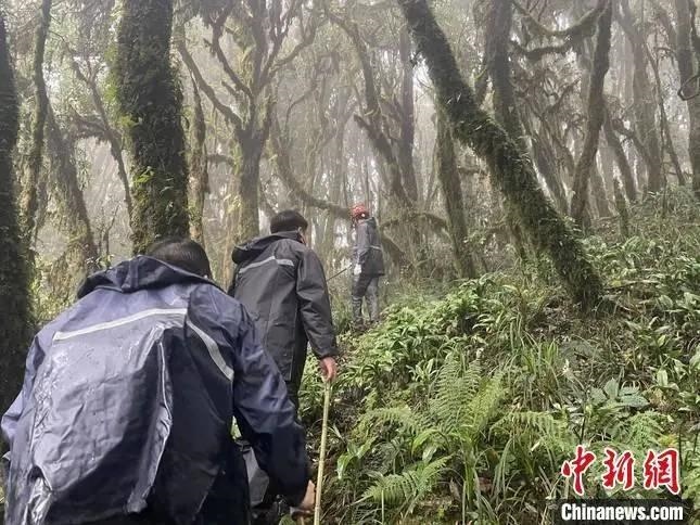 圖為救援現(xiàn)場。鎮(zhèn)沅縣委宣傳部提供