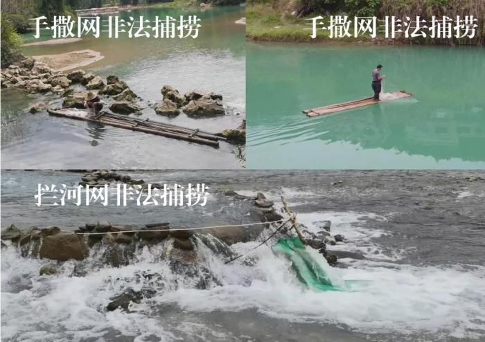 2021年9—10月，前期暗查發(fā)現(xiàn)，保護(hù)區(qū)核心區(qū)內(nèi)非法捕撈行為十分猖獗