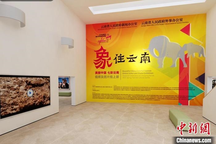 圖為“象”往云南——美麗中國(guó) 七彩云南視頻及圖片線上展截圖。　胡遠(yuǎn)航 攝