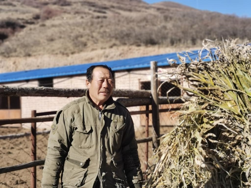 1月19日，山西省岢嵐縣脫貧戶呂如堂在牛圈前準備草料。新華社記者 梁曉飛 攝