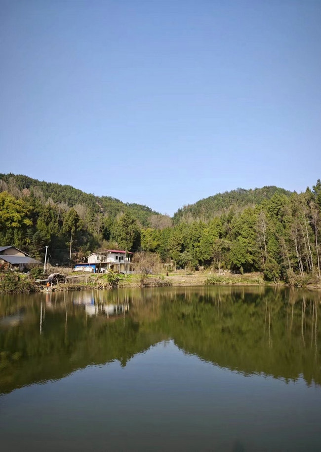這樣在對面看，老家也算依山傍水.jpg