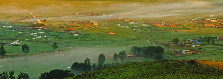 在“螞蟻森林”項(xiàng)目區(qū)，群眾攜手共添新綠（攝影：刁博禹）.jpg