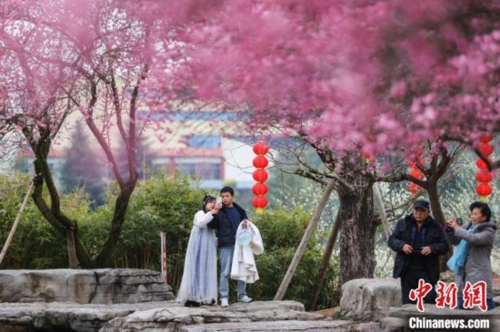 2月23日，市民在乾藝梅園景區(qū)觀賞綻放的梅花。瞿宏倫 攝