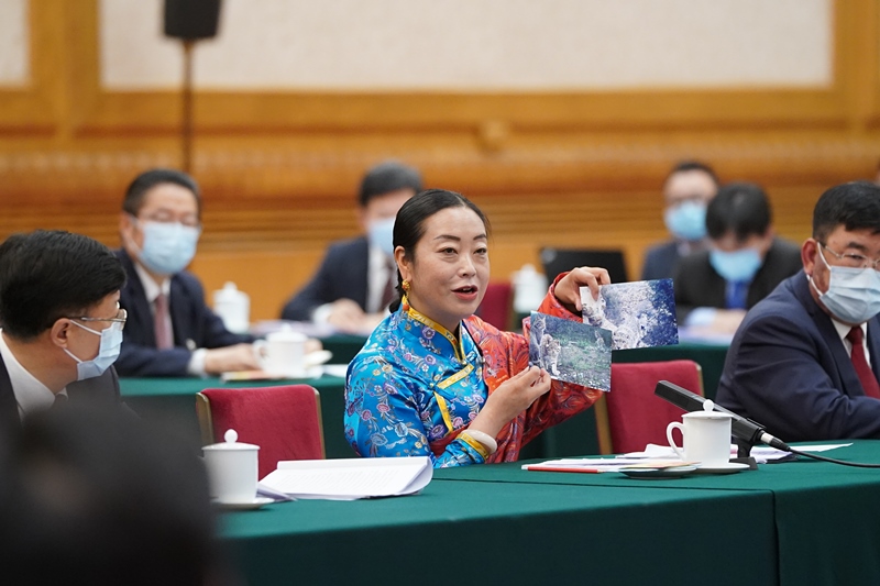 2021年3月7日，習近平總書記在參加十三屆全國人大四次會議青海代表團審議時，全國人大代表孔慶菊在會上展示了兩張照片，上面分別是祁連山地區(qū)多年不見蹤跡的雪豹和荒漠貓。