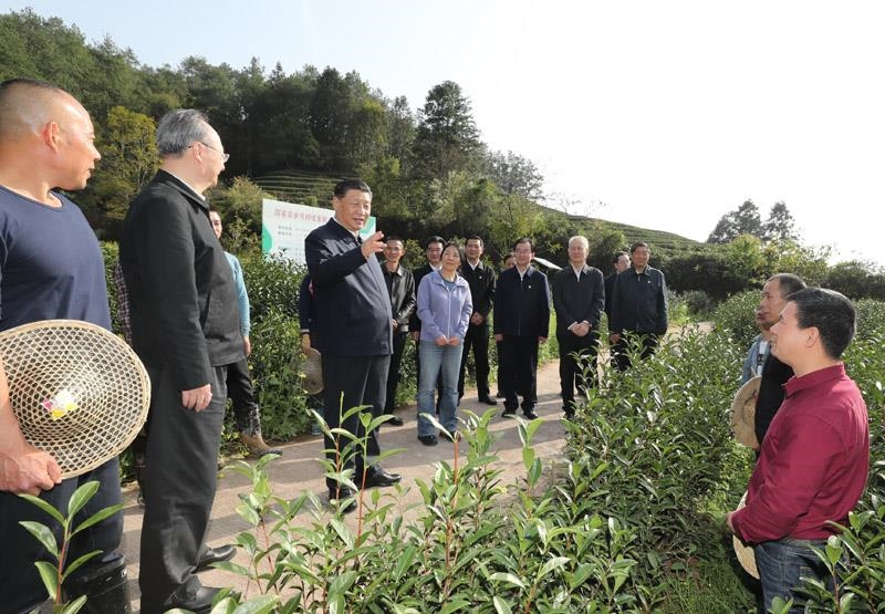 2021年3月22日，習(xí)近平總書記在福建南平武夷山市星村鎮(zhèn)燕子窠生態(tài)茶園，同科技特派員、茶農(nóng)親切交流，了解當(dāng)?shù)夭璁a(chǎn)業(yè)發(fā)展情況。