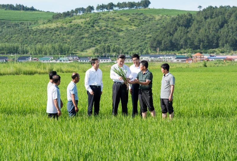 2015年7月16日，習(xí)近平總書記在吉林延邊州光東村稻田同村民和農(nóng)技人員交流。