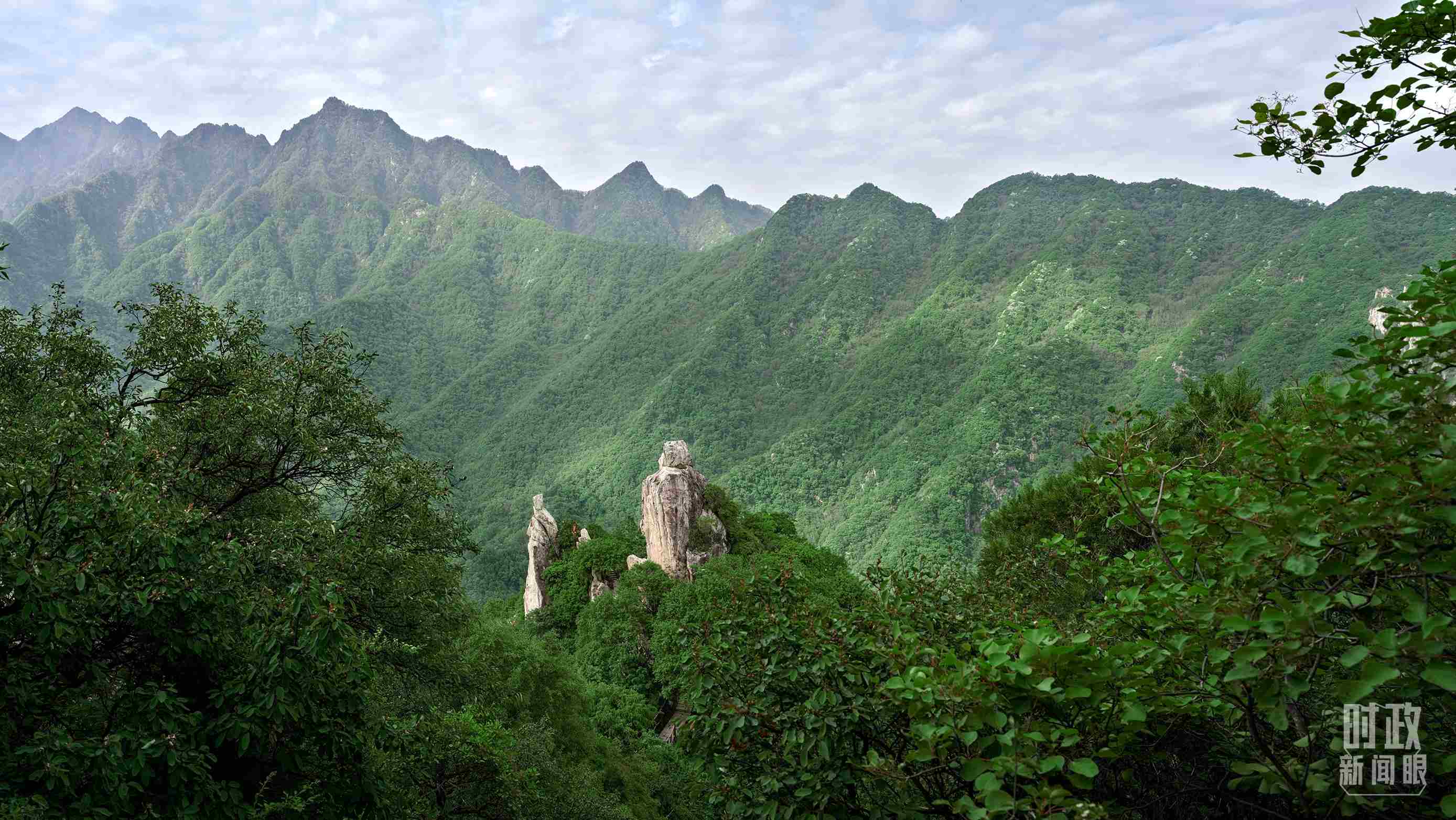 △秦嶺。（圖／視覺中國）