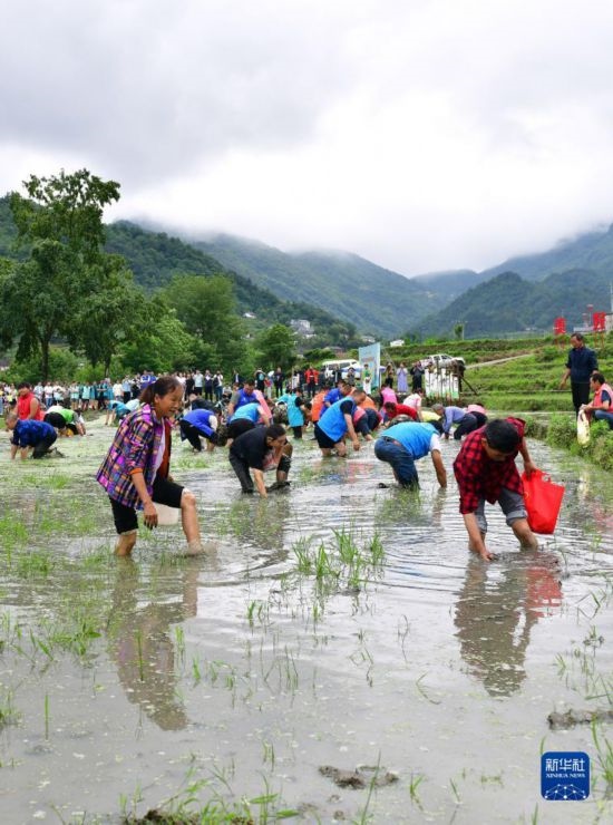 5月27日，秭歸縣九畹溪鎮(zhèn)農(nóng)民參加摸魚比賽。