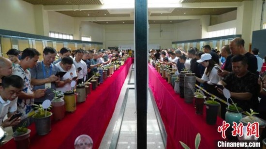 圖為活動現(xiàn)場。 云南省委臺辦供圖