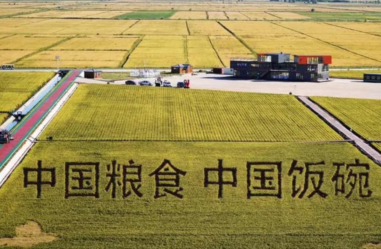 2022年9月2日，黑龍江省富錦市萬畝水稻科技示范園內(nèi)的稻田畫。