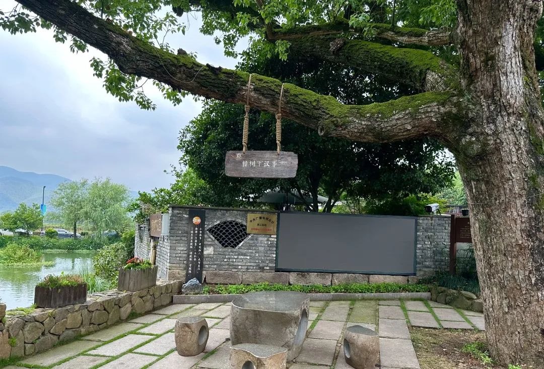 浙江省杭州市余杭區(qū)小古城村的“樟樹下議事”木制字牌。靜玄 攝
