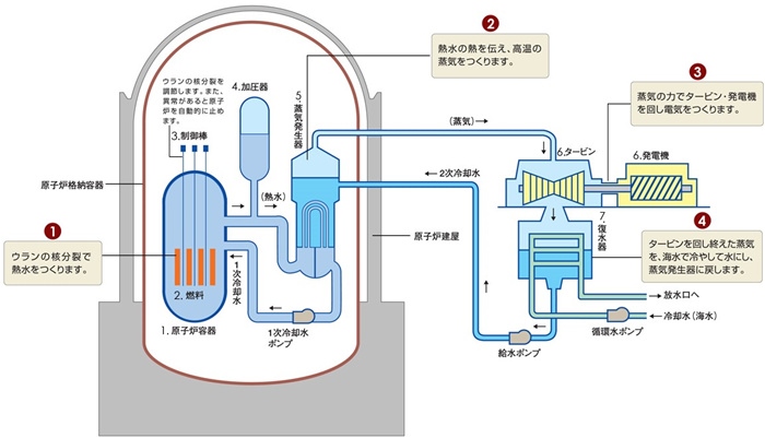 核電站運作原理圖。通常的核電站排水未直接接觸核燃料。（圖片來源：日本北海道電力株式會社網站）