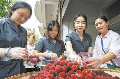 志愿者和村民一起將摘下的楊梅裝進(jìn)食品盒里。