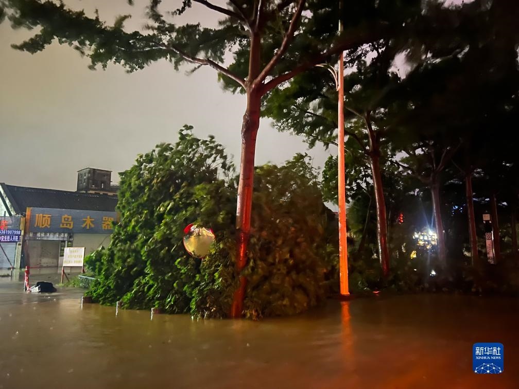7月17日晚，在廣東湛江海濱大道北，路邊的樹木被風(fēng)刮倒（手機(jī)照片）。新華社記者 鄧華 攝