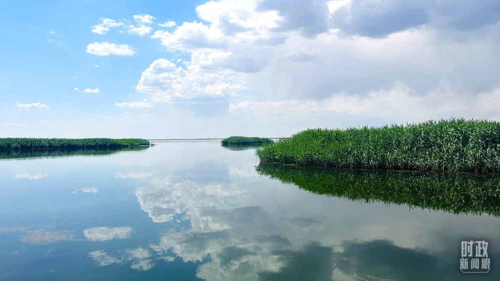 內(nèi)蒙古烏梁素海，是黃河流域最大的湖泊濕地。（總臺(tái)央視記者范一鳴拍攝）