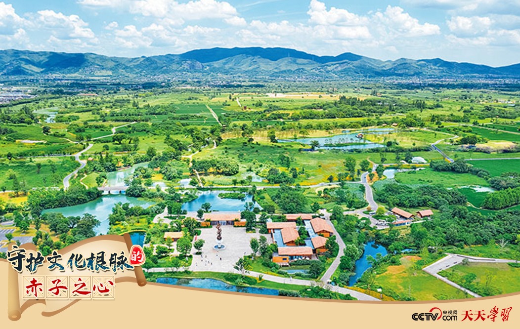 圖為2021年7月拍攝的良渚古城遺址公園。