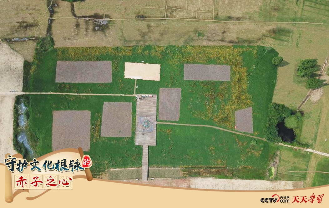 2019年6月23日無人機(jī)拍攝的良渚國(guó)家考古遺址公園的宮殿區(qū)。