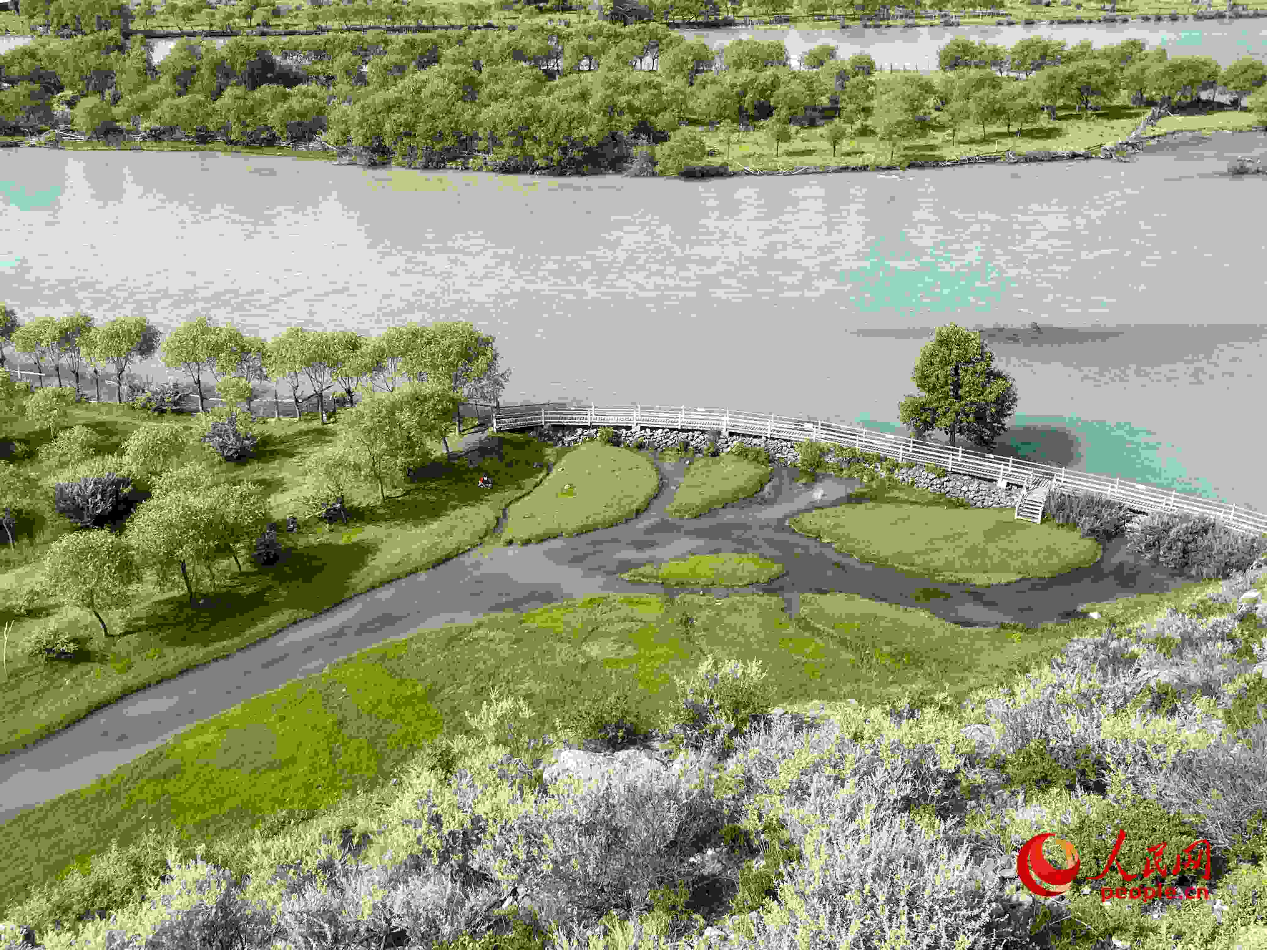 夏日的雅尼國(guó)家濕地公園生機(jī)盎然，如詩(shī)如畫。人民網(wǎng) 周靜圓攝