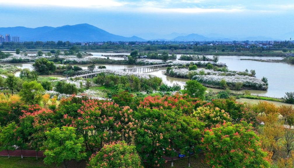 2022年10月11日拍攝的天漢濕地公園景色。新華社發(fā)（宋曉麗 攝）