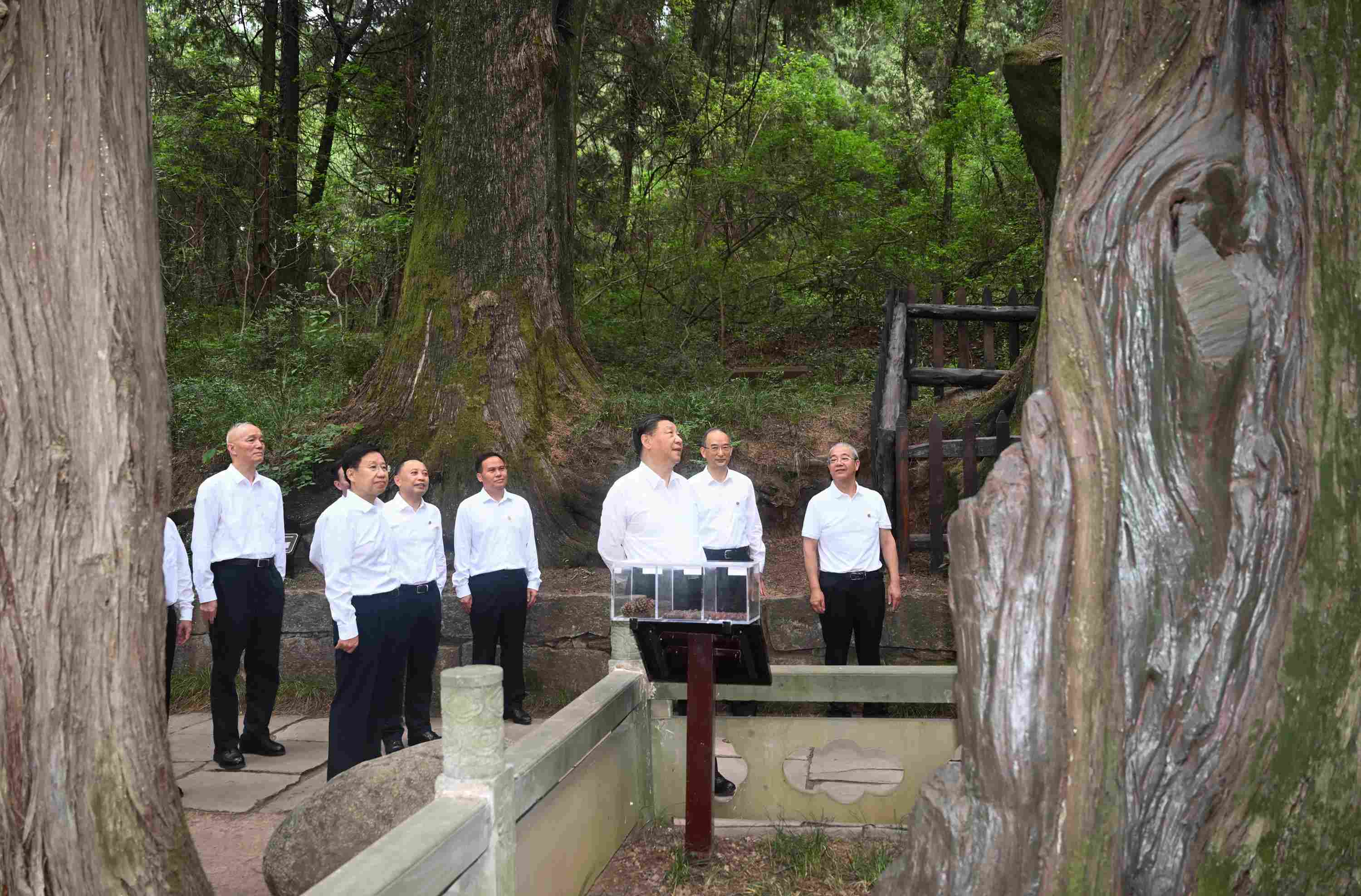 △2023年7月25日，習(xí)近平總書記在四川省廣元市考察了翠云廊古蜀道，了解當(dāng)?shù)赝七M(jìn)歷史文化傳承、加強(qiáng)生態(tài)文明建設(shè)等情況。