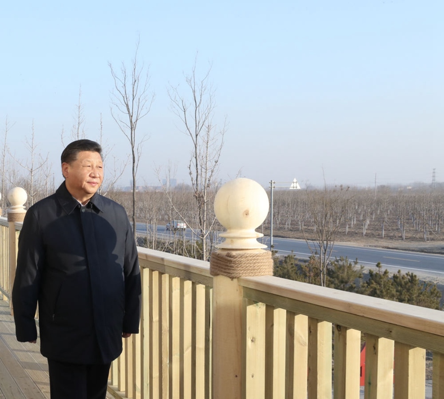 2019年1月16日，習(xí)近平在河北雄安新區(qū)考察調(diào)研。在“千年秀林”大清河片林一區(qū)造林區(qū)域，習(xí)近平登上秀林驛站二層平臺(tái)遠(yuǎn)眺林區(qū)全貌。