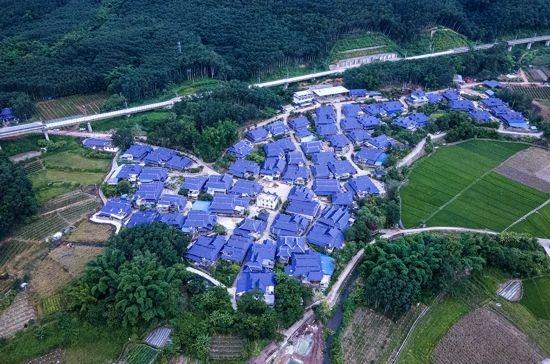 磨憨鎮(zhèn)曼莊村大龍哈小組現(xiàn)代化邊境幸福村新貌。人民網(wǎng)記者 符皓攝