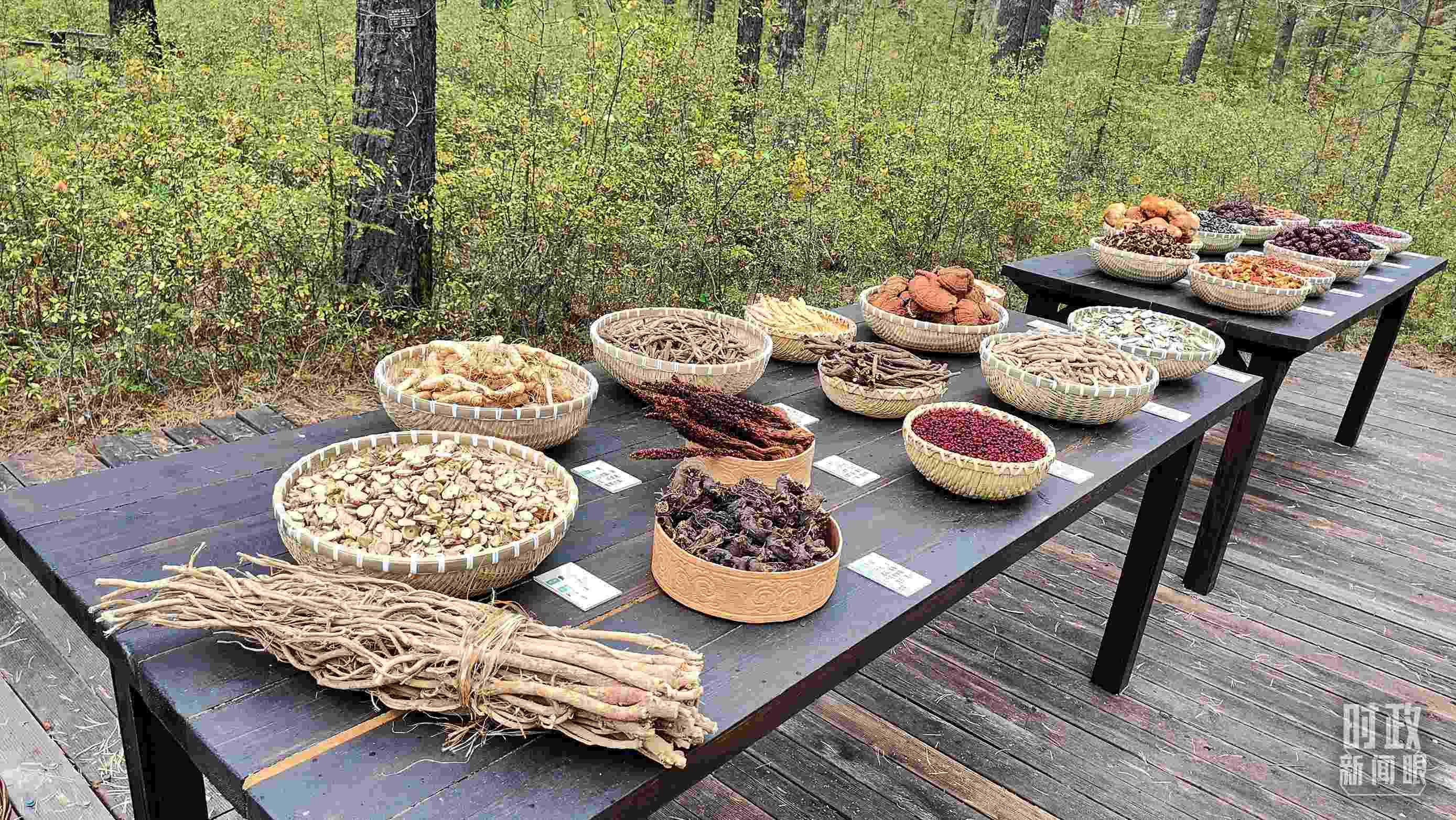 △林場里的食用菌、林果等特產(chǎn)。（總臺央視記者楊立峰拍攝）