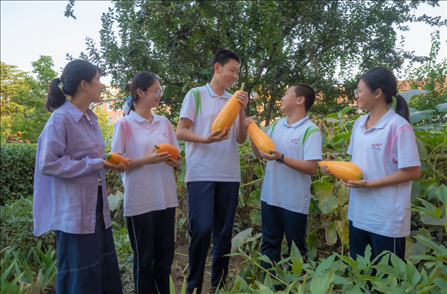 密云區(qū)第五中學(xué)豐收節(jié)活動(dòng)。北京市教委供圖
