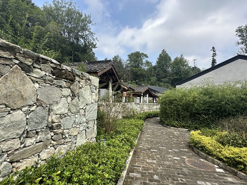 眾多民宿坐落于夫子山山麓。人民網(wǎng) 王紹紹攝