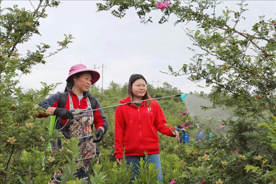 王永華（右一）向龍鳳村村民傳授噴灑農(nóng)藥技術(shù)要領(lǐng)。受訪者供圖