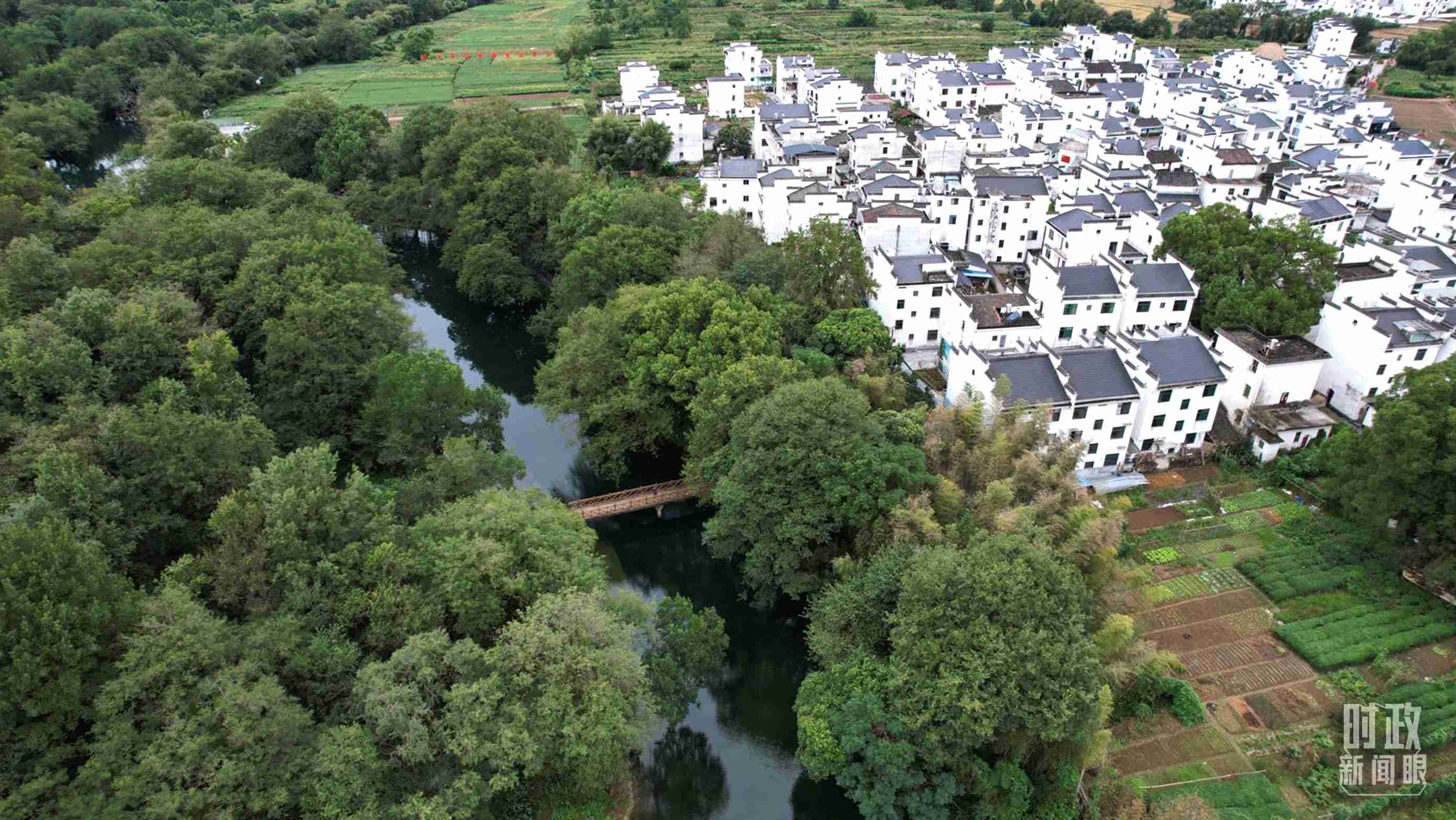 △位于饒河源國家濕地公園中心地帶的石門村。（總臺央視記者范凱拍攝）