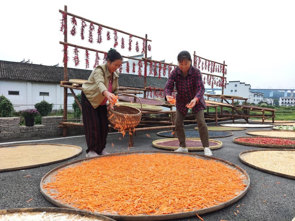 近日，江西省上饒市婺源縣秋口鎮(zhèn)王村的村民正在晾曬農(nóng)作物。新華社記者 劉佳敏 攝