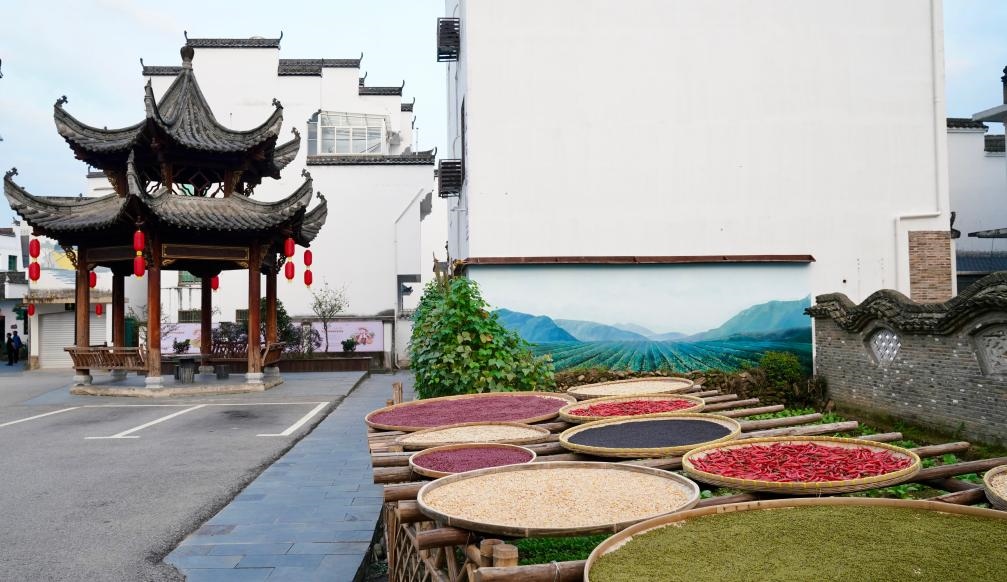 近日拍攝的江西省上饒市婺源縣秋口鎮(zhèn)王村石門自然村曬秋場景。新華社記者 胡晨歡 攝