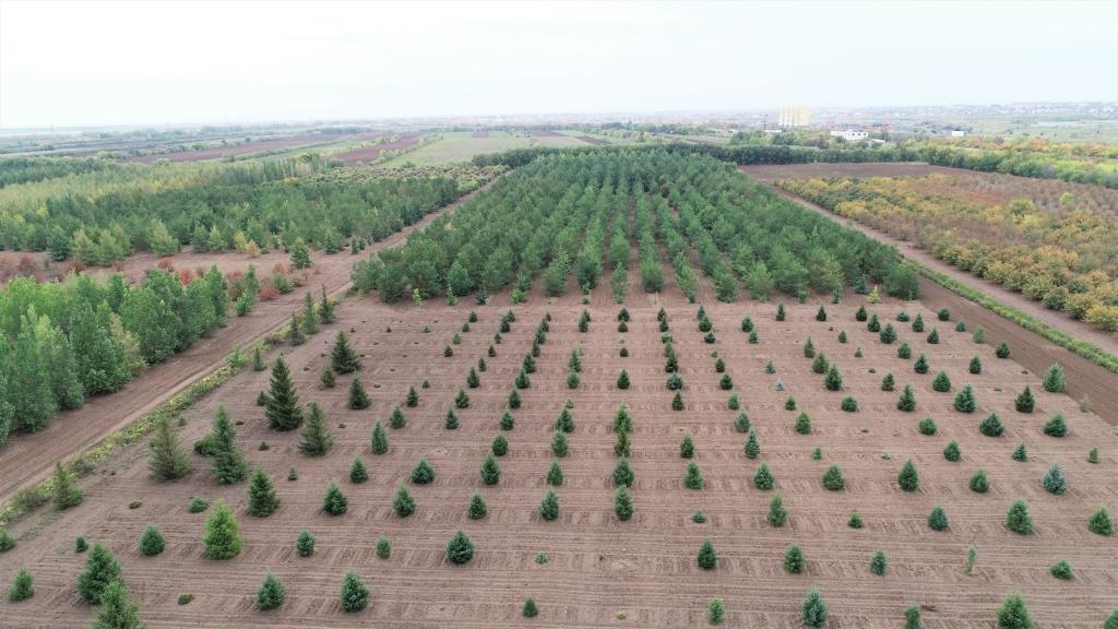 這是2023年9月11日在哈薩克斯坦首都阿斯塔納拍攝的一處植物種質(zhì)資源苗圃（無人機照片）。新華社發(fā)（法爾哈特·圖克諾夫 攝）