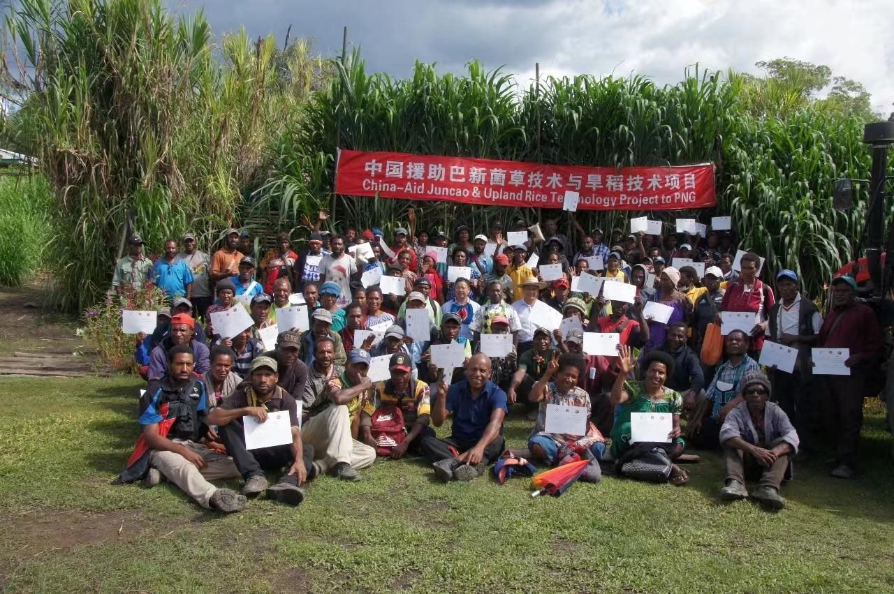 △2020年12月17日，在巴布亞新幾內(nèi)亞東高地省，參加中國援助巴新菌草和旱稻技術(shù)項目第9期培訓(xùn)班的當(dāng)?shù)孛癖娬故窘Y(jié)業(yè)證書。
