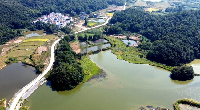 楊金龍用手機拍攝的道路全景。受訪者供圖