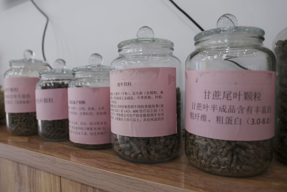 這是12月13日在來(lái)賓市興賓區(qū)小平陽(yáng)鎮(zhèn)一家飼料廠拍攝的以甘蔗尾葉為原料制成的飼料。