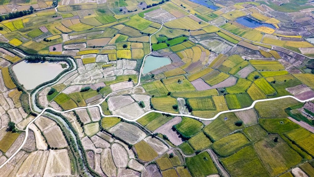 安徽省鳳陽縣小崗村的田野景象（2018年9月27日攝，無人機(jī)照片）。新華社記者 張端 攝