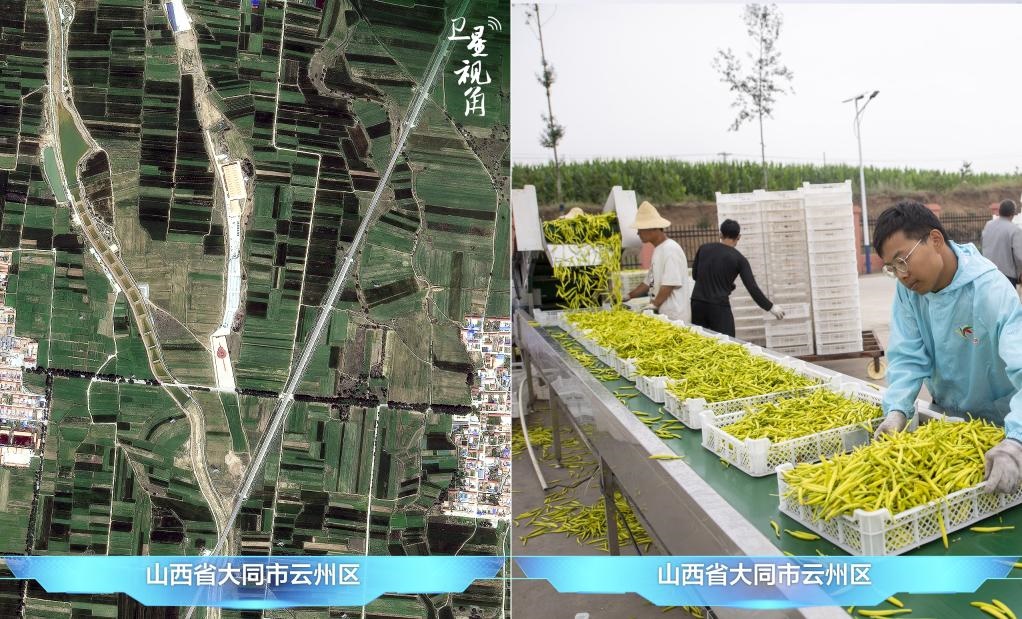 當(dāng)前，大同市開(kāi)發(fā)黃花菜品、食品、飲品、功能食品、化妝品、文創(chuàng)產(chǎn)品六大系列130余種，全產(chǎn)業(yè)鏈產(chǎn)值超40億元。