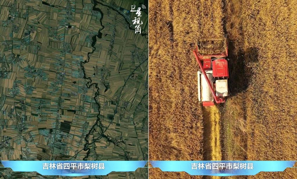 隨著現(xiàn)代化農(nóng)機(jī)普及應(yīng)用，保護(hù)性耕作“梨樹(shù)模式”得以大面積推廣，不僅使黑土地保護(hù)與利用持續(xù)深入，更為糧食作物高產(chǎn)穩(wěn)產(chǎn)助力。