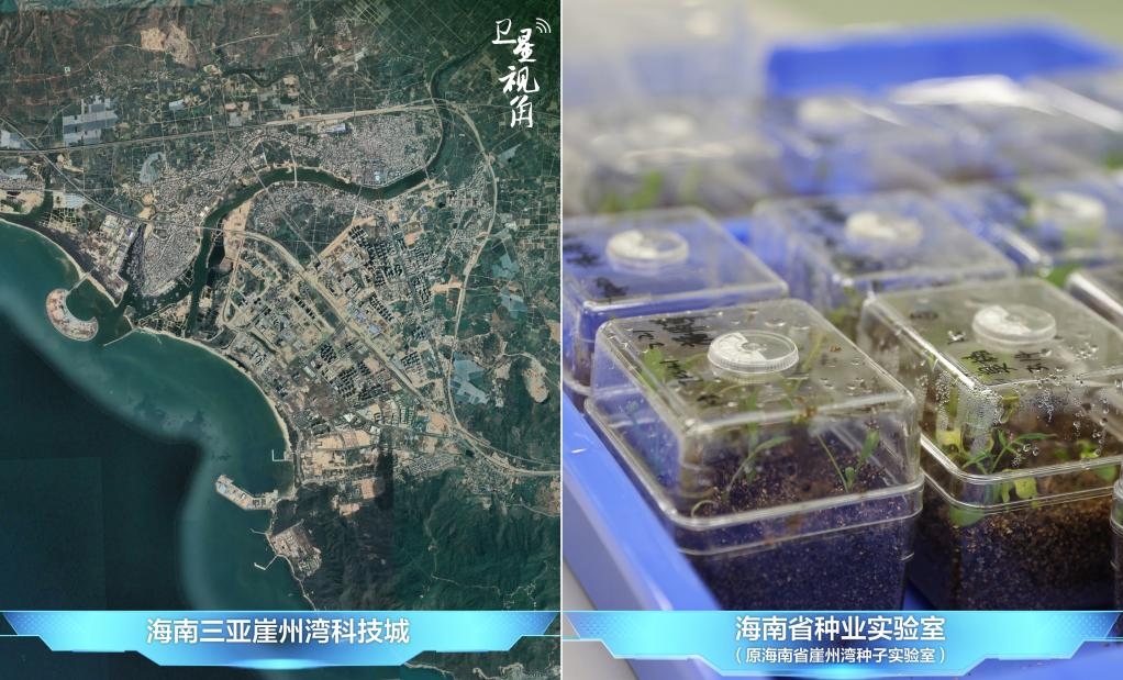 位于三亞崖州灣科技城的海南省種業(yè)實(shí)驗(yàn)室（原海南省崖州灣種子實(shí)驗(yàn)室）將形成輻射全國(guó)和“一帶一路”沿線國(guó)家的種子科學(xué)技術(shù)創(chuàng)新中心。