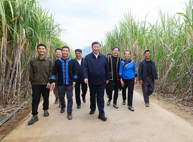 2023年12月14日，習(xí)近平總書記在廣西來(lái)賓市國(guó)家現(xiàn)代農(nóng)業(yè)產(chǎn)業(yè)園黃安優(yōu)質(zhì)“雙高”糖料蔗基地考察。