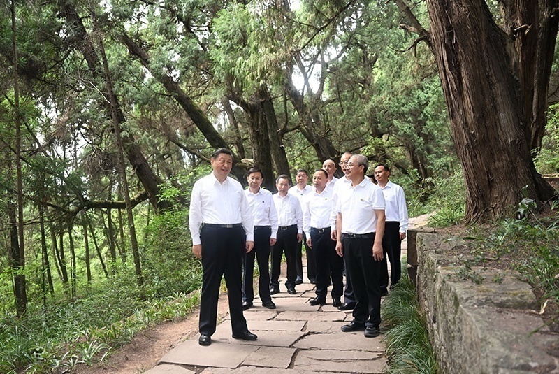 2023年7月25日，習(xí)近平總書記在四川廣元市劍閣縣翠云廊考察。新華社記者 謝環(huán)馳 攝