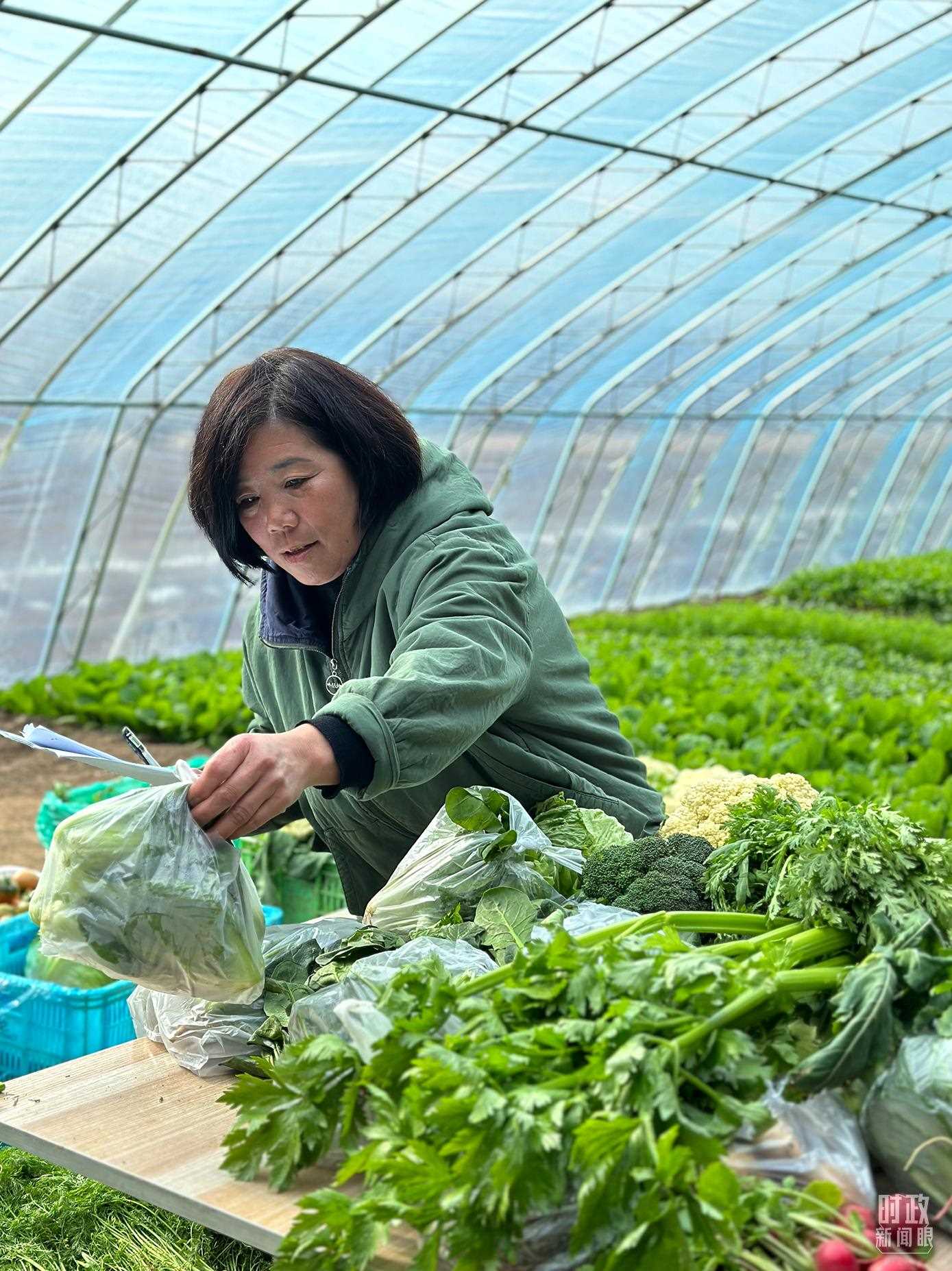 △第六埠村村民正在打包分裝蔬菜。（總臺央視記者盧心雨拍攝）