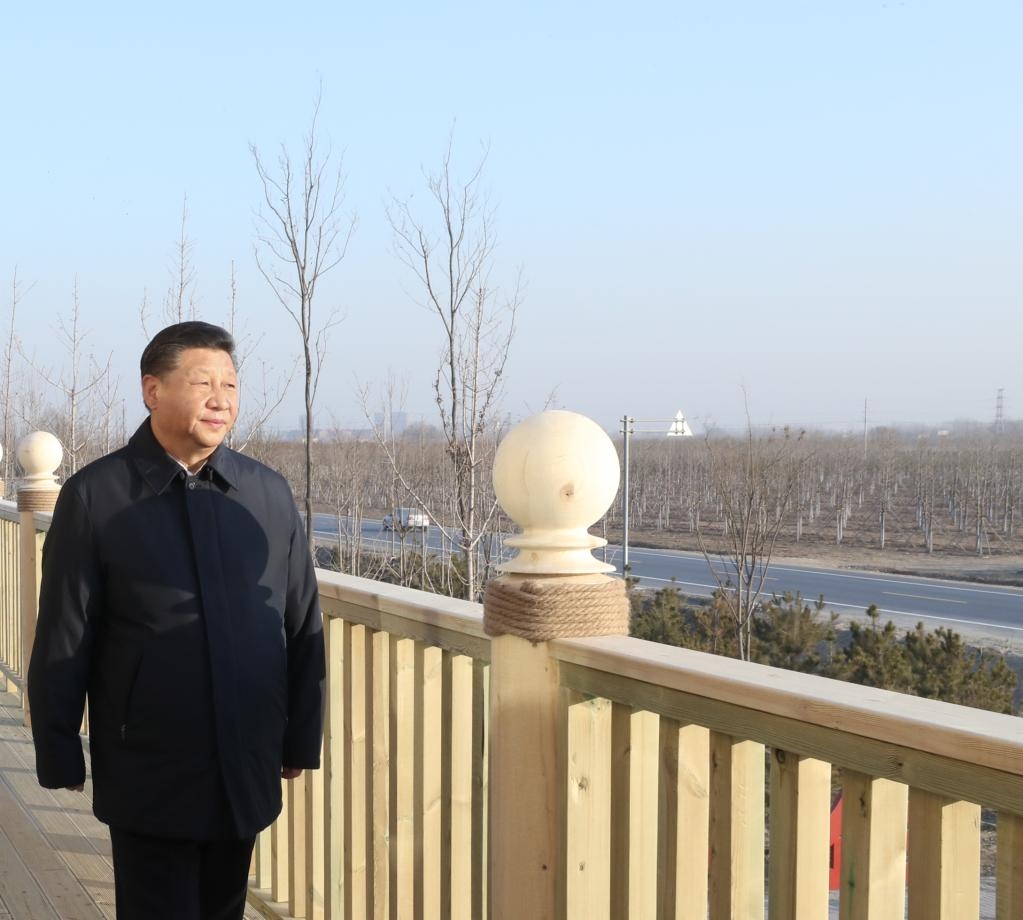 2019年1月16日，在河北雄安新區(qū)“千年秀林”大清河片林一區(qū)造林區(qū)域，習(xí)近平總書記登上秀林驛站二層平臺遠(yuǎn)眺林區(qū)全貌。新華社記者 鞠鵬 攝