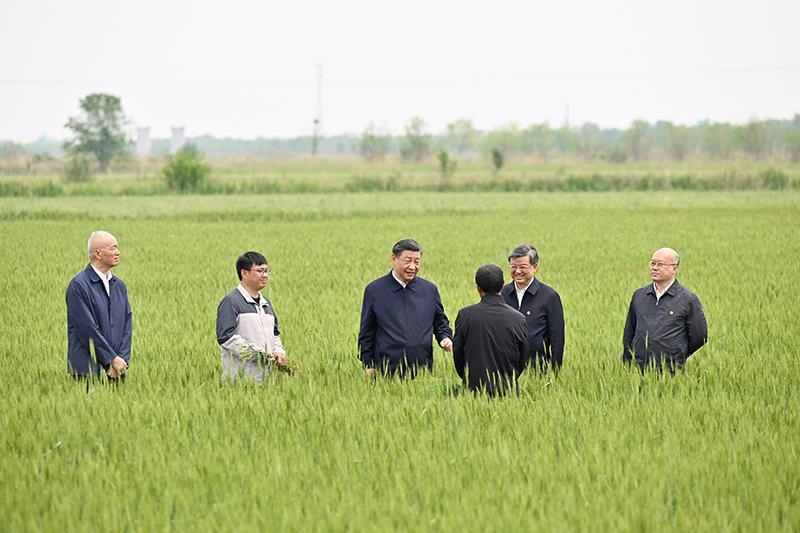 △2023年5月11日，習(xí)近平總書記在河北滄州黃驊市舊城鎮(zhèn)仙莊片區(qū)旱堿地麥田同種植戶、農(nóng)技專家親切交流。