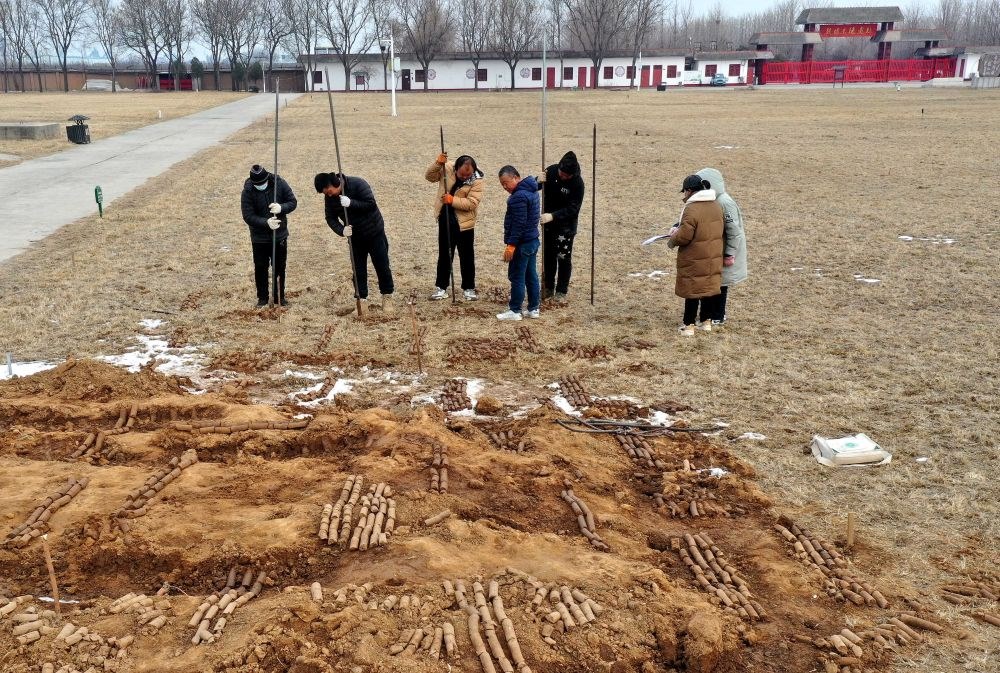 在殷墟王陵遺址，工作人員在勘探圍溝范圍（2月24日攝）。