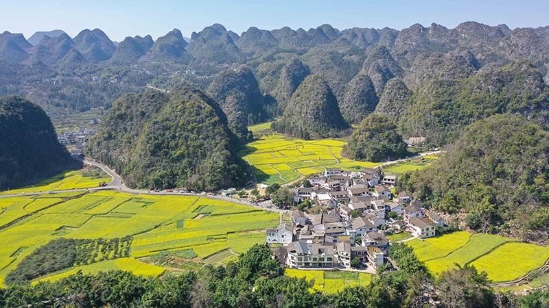 2024年2月17日，貴州省興義市萬峰林景區(qū)的油菜花海景色（無人機照片）。