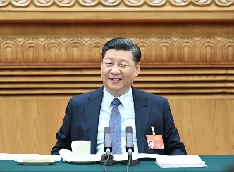 2019年3月8日，習(xí)近平參加十三屆全國人大二次會議河南代表團(tuán)的審議。新華社記者 謝環(huán)馳 攝